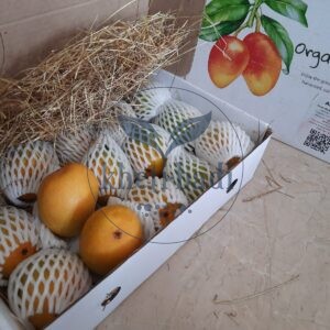 Alphonso Mangoes From Konkan (March-May)