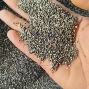 Chia Seeds (2 x 1kg)