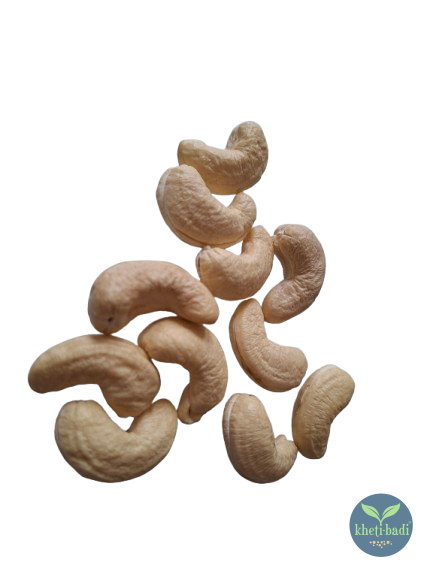 Organic Cashews From Konkan Farmers