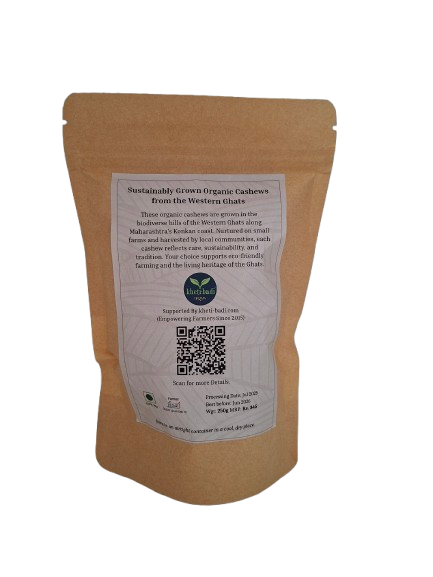 Cashews (Chemical Free) From Konkan farmers | 500g - Image 3