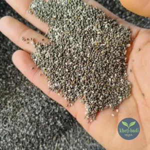 Chia by kheti-badi.com