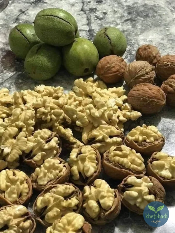 Walnuts-raw-shelled-de-shelled-Kheti-Badi.com