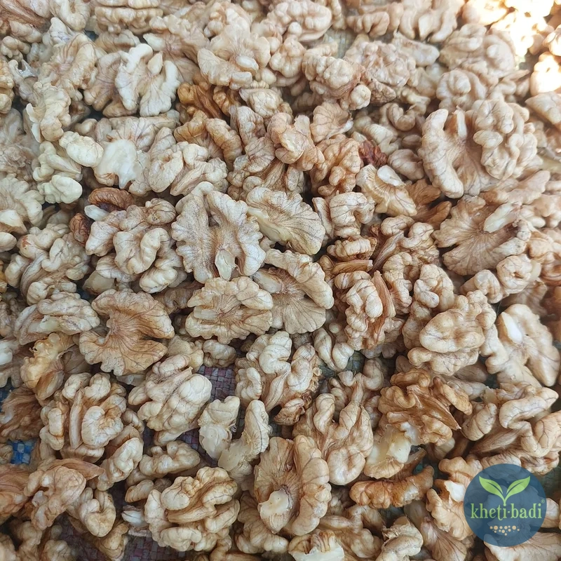 Walnuts-harvested-3-Kheti-Badi.com