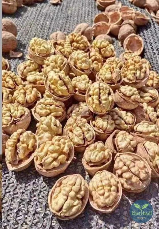 Walnuts-de-shelled-Kheti-Badi.com