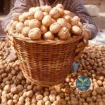 Walnuts-whole-Kheti-Badi.com